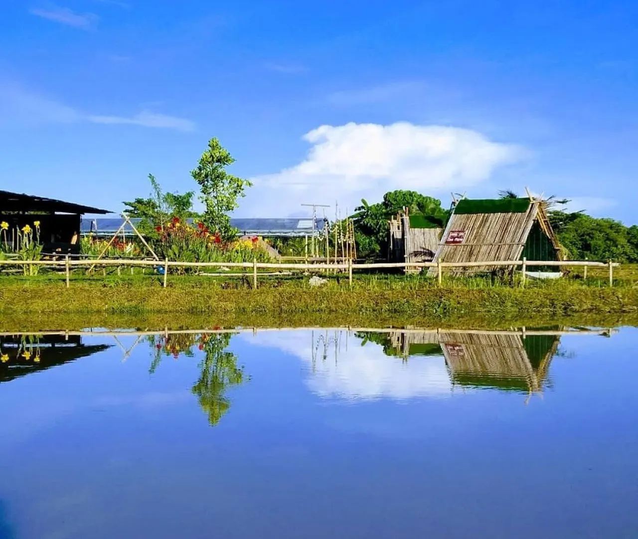 Junior Suite Nature Of Penang Guesthouse Balik Pulau Pensjonat